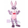 Lapin de Pâques costume de mascotte