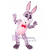 Lapin de Pâques costume de mascotte