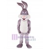Lapin de Pâques costume de mascotte