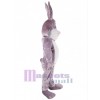 Lapin de Pâques costume de mascotte