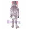 Lapin de Pâques costume de mascotte