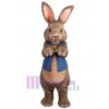 Lapin de Pâques costume de mascotte