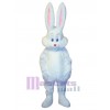 Lapin de Pâques costume de mascotte