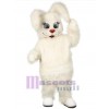 Lapin de Pâques costume de mascotte