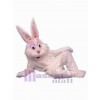 Lapin de Pâques costume de mascotte