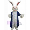 Lapin de Pâques costume de mascotte