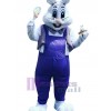 Lapin de Pâques costume de mascotte