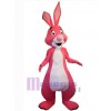 Lapin de Pâques costume de mascotte