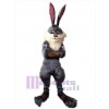 Lapin de Pâques costume de mascotte