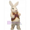 Lapin de Pâques costume de mascotte