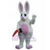 Lapin de Pâques costume de mascotte