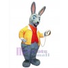 Lapin de Pâques costume de mascotte