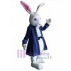 Lapin de Pâques costume de mascotte