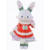 Lapin de Pâques costume de mascotte