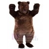 Ours costume de mascotte