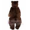 Ours costume de mascotte