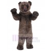 Ours costume de mascotte