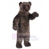 Ours costume de mascotte