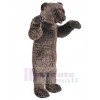 Ours costume de mascotte
