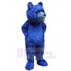Ours costume de mascotte