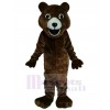 Ours costume de mascotte