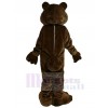 Ours costume de mascotte