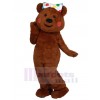 Ours costume de mascotte
