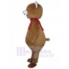 Ours costume de mascotte