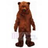 Ours costume de mascotte