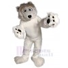 Ours costume de mascotte