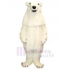 Ours costume de mascotte