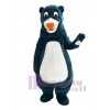 Ours costume de mascotte