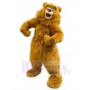 Ours costume de mascotte