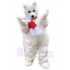 Ours costume de mascotte