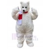 Ours costume de mascotte