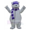 Ours costume de mascotte