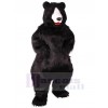 Ours costume de mascotte