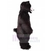 Ours costume de mascotte