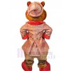 Ours costume de mascotte