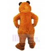 Ours costume de mascotte