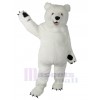 Ours costume de mascotte