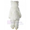 Ours costume de mascotte