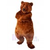 Ours costume de mascotte