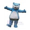 Ours costume de mascotte