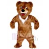 Ours costume de mascotte