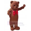 Ours costume de mascotte