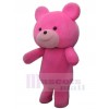 Ours costume de mascotte