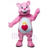 Ours costume de mascotte