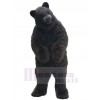 Ours costume de mascotte