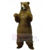 Ours costume de mascotte